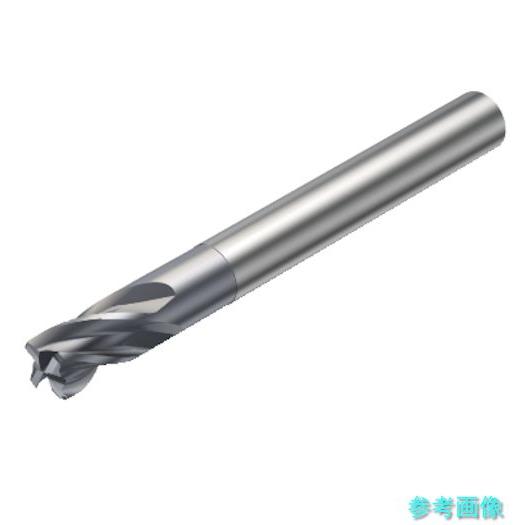 (SANDVIK) RA216.24-1030BAK02G(1610) コロミルCoroMill[[...