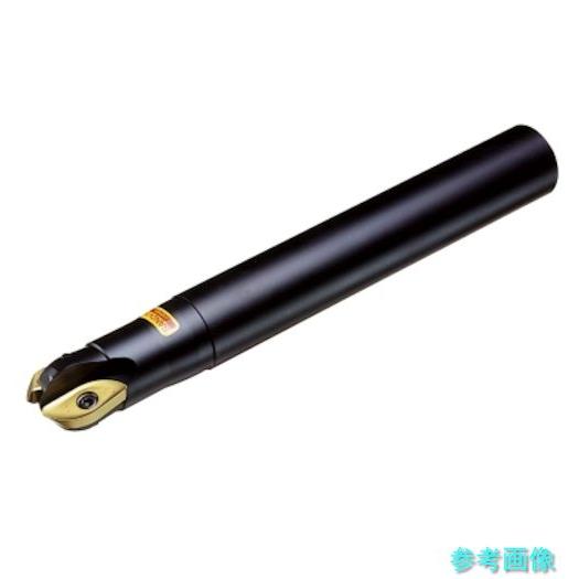 (SANDVIK) RA216-19O19L-051 コロミルCoroMill[[R上]]216 プ...