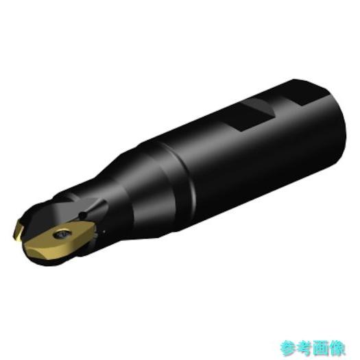 (SANDVIK) RA216-19M25-051 コロミルCoroMill[[R上]]216 プロ...