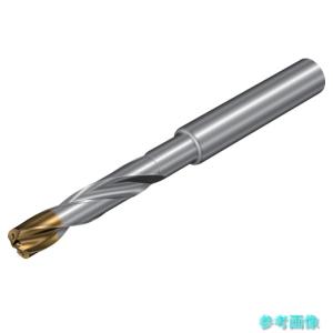 サンドビック（SANDVIK） CNMX 12 04 A2-SM(6160) T-Max P 旋削用