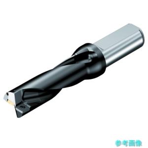 サンドビック（SANDVIK） CNMX 12 04 A2-SM(6160) T-Max P 旋削用