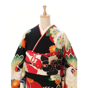 振袖レンタル(2月〜12月)黒地 玉城ティナ ...の詳細画像1