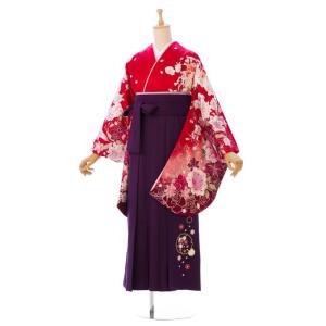 卒業袴 レンタル 158〜163cm 卒業式 袴セットレンタル 格安 普通サイズ 
