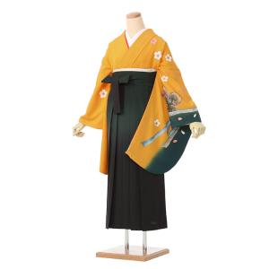 袴レンタル 153〜158cm 矢絣 やがすり 先生用 卒業袴セット はいから