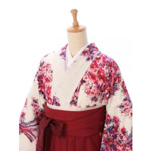 袴レンタル 158〜162cm JILLSTU...の詳細画像2