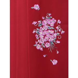 袴レンタル 158〜162cm JILLSTU...の詳細画像5