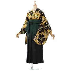 袴レンタル 153〜158cm 矢絣 やがすり 先生用 卒業袴セット はいから