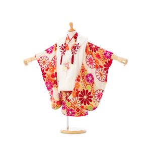 被布 椿柄の七五三着物3歳 女の子(被布)フルセット（ピンク系