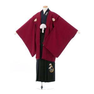 BV-060 卒業式 羽織袴 レンタル 小学生 男の子 十三参り150cm〜155cm