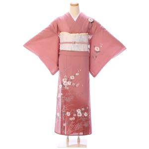 夏用 絽 訪問着 フルセット(水色系)|訪問着・付下げ 3L52 : e-きもの