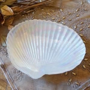 100円図鑑 セリア ガラスインテリアトレー スピンドルシェル 全3色