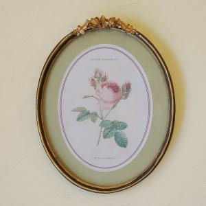 絵画 インテリア 額入り イタリア調 ルドゥーテ 薔薇 花 右向き 楕円 オーバル