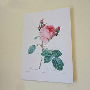 絵画 梅沢民雄 肉筆油絵 風景画 水辺 パリ セーヌ河 送料無料 : アート