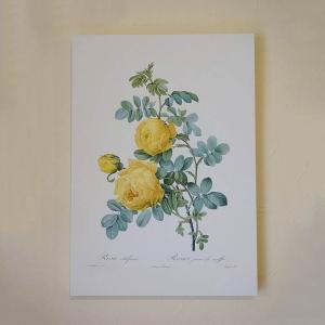 絵画 油絵 中島 達幸 大海原の帆船 真作 額付き F6 送料無料 : 丸昇