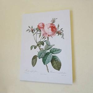‼️定価33000円？限定一品‼️送料無料！日野　皖 薔薇油絵・油彩画Ｆ４(４号) 楽天市場】日野 皖 「 薔薇 」 油絵 ・ 油彩画 F4 ( 4号