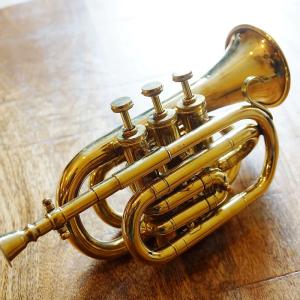 楽器玩具 色 ゴールド系 おもちゃ ゲーム おもちゃ 通販 Yahoo ショッピング