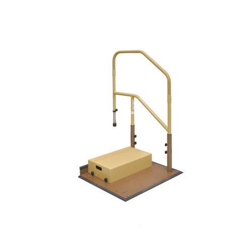 玄関用 たよレールdan ハイタイプ 片手すり踏み台付 マツ六 [BZD-02WN] 木目ナチュラル...