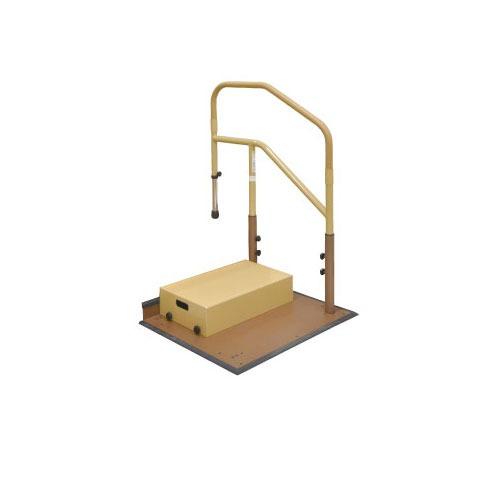 玄関用 たよレールdan ロータイプ 片手すり踏み台付 マツ六 [BZD-06WN] 木目ナチュラル...