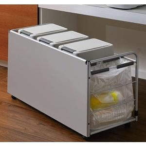 ダストカーゴ ダストワゴン(パネル付) ペール3個＋分別スペースタイプ