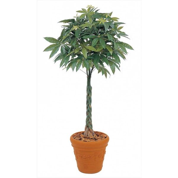 パキラ [GD-97S] 1.8m タカショー Takashoメーカー直送 法人様限定