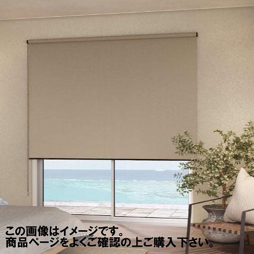 ロールスクリーン ディアリオ遮光 幅41~60×高さ181~200cm [RSHDS41-60-18...