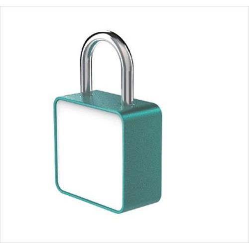 キャンバスロック(デザイン南京錠) [TANNER854-1003] グリーン 学校 ロッカー TA...