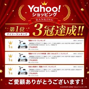特定小型原付 LAKU 電動キックボード 免許...の詳細画像1