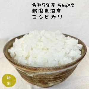 お米の良いコシヒカリネット - Yahoo!ショッピング