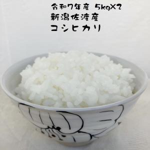 お米の良いコシヒカリネット - Yahoo!ショッピング