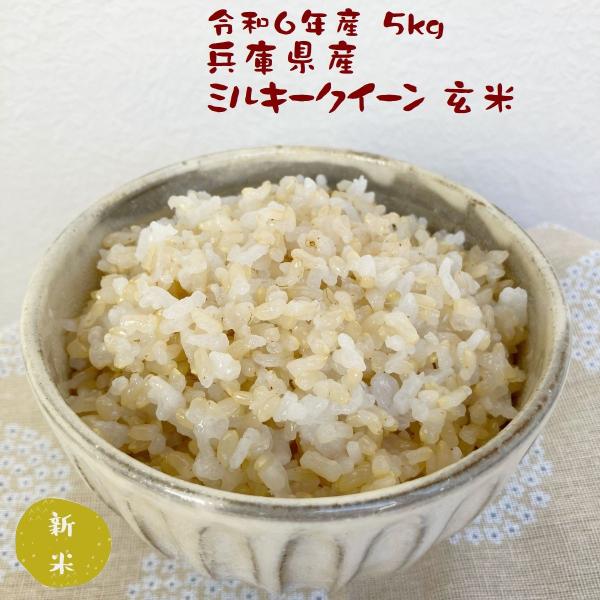 玄米 5kg ミルキークイーン ダイエット食事 健康生活 お米マイスター厳選 兵庫県産 令和5年産