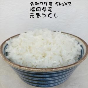 元気つくし お米 福岡県産 令和7年産 5kg 特A 減農薬 大粒 甘み強し