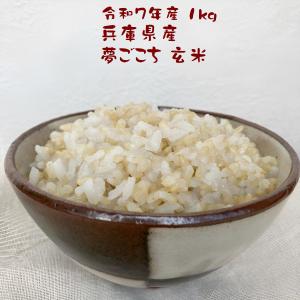 夢ごこち 米 ごはんの商品一覧 米 雑穀 粉類 食品 通販 Yahoo ショッピング