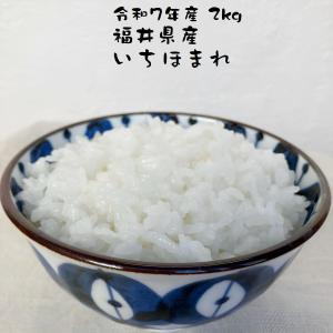 お米 いちほまれ 福井県産 令和7年産 10kg(5kg×2) 特A 減農薬