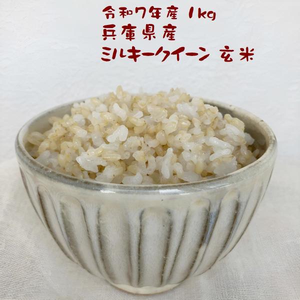 玄米 1kg ミルキークイーン ダイエット食事 健康生活 お米マイスター厳選 兵庫県産 令和7年産