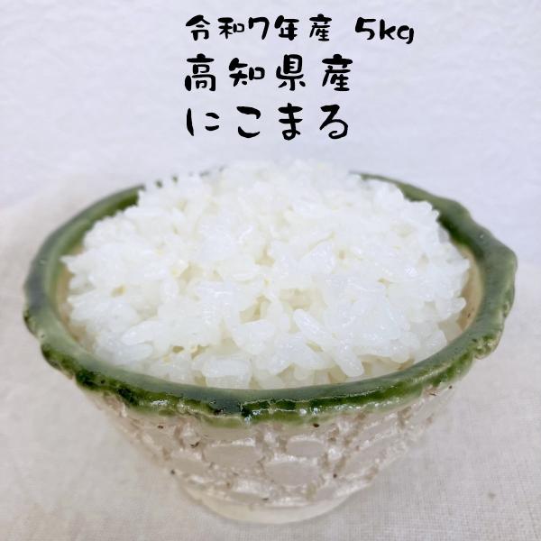 お米 にこまる 高知県産 令和７年産 5kg 減農薬 四万十厳選 お米マイスター 大粒で甘み強し
