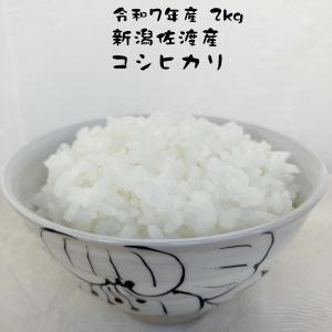お米の良いコシヒカリネット - Yahoo!ショッピング