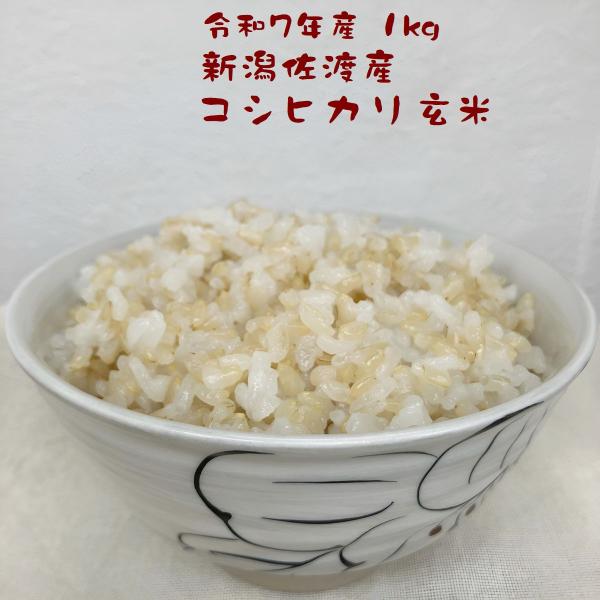 玄米 1kg 新潟産こしひかり ネオニコ系農薬不使用 ダイエット食事 健康生活 お米マイスター厳選 ...