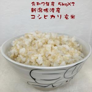 令和7年産　千葉県産こしひかり20㎏（玄米） 令和7年産 千葉県産 粒すけ 20kg 白米 精米 米 お米 送料無料(一部地域