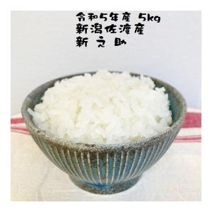 米 5kg 新之助 減農薬 減化学肥料栽培 新潟県佐渡産 令和5年産｜e-koshihikari