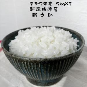 お米の良いコシヒカリネット - Yahoo!ショッピング