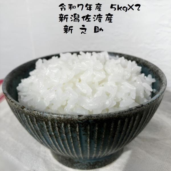 米 お米 10kg 新之助 (5kg×2) うるち米 精白米 お米マイスター厳選 新潟県産 令和7年...