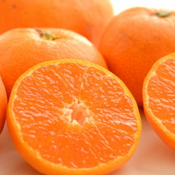 みかん 3kg 訳あり 小玉 送料無料 小粒くん 有田みかん 果物 おいしい 和歌山直送 産地直送 ...