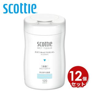 数量限定品)スコッティ ウェットティシュー 除菌 アルコール ノン