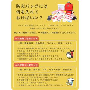 防災グッズ 防災セット 防災士監修 一次避難用...の詳細画像3