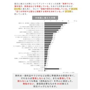防災グッズ 防災セット 防災士監修 一次避難用...の詳細画像4