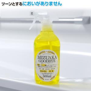 日本製 乳酸クリーナー 水あかグッバイ (50...の詳細画像4
