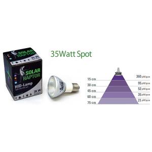 SOLAR RAPTOR HIDランプ 35W...の詳細画像3