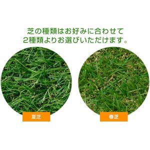 人工芝 防草シート付き 2m×10m U字固定...の詳細画像4
