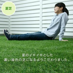 人工芝 防草シート付き 2m×10m U字固定...の詳細画像5