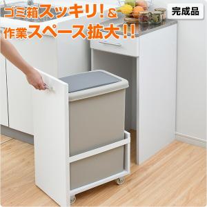 ゴミ箱 キッチンラック 一体型 ダストボックス...の詳細画像1
